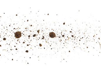 Close-up of Soil and Water Mixture Exploding