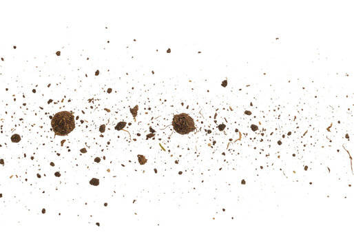 Close-up of Soil and Water Mixture Exploding