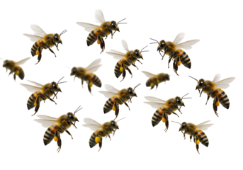 Detailed Illustration of Flying Honeybees
