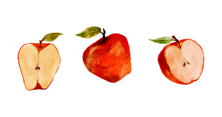 Watercolor apples and apple slices with leaves, red fruit set