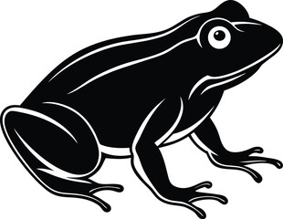 frog on a white background