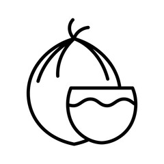 Coconut Fruit for Beach Drink