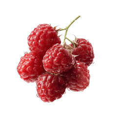 Juicy Fresh Raspberries on Bright Cyan Transparent background