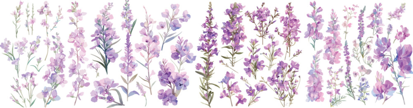 fireweed floral watercolor clipart
