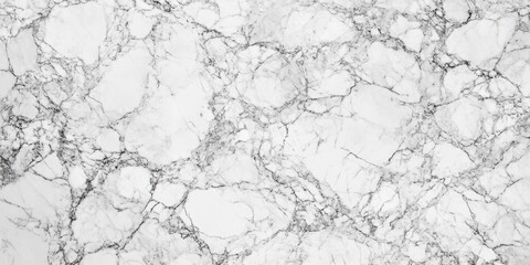 Obraz premium White marble texture with gray veining