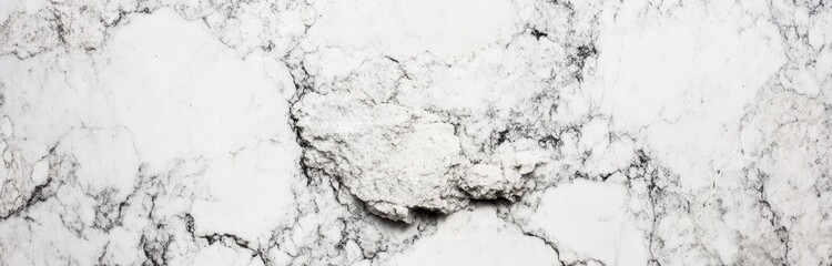 Obraz premium White marble texture (1)