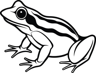 Frog Silhouette Vector Illustration In White Background