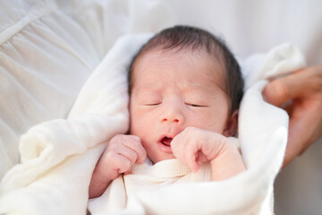A 7-day-old Japanese newborn baby is held on a wooden deck surrounded by spring greenery. This gentle outdoor photo captures the beauty and tenderness of new life in a peaceful natural setting.