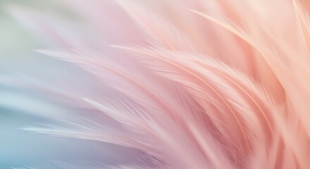 Pastel Plume Dream