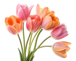 Fototapeta premium Colorful Bouquet of Pink and Orange Tulips in a Delicate Floral Arrangement with Transparent Background