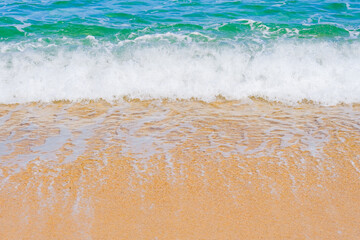 海