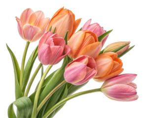 Vibrant Bouquet of Pink and Orange Tulips with Lush Green Stems on a Transparent Background