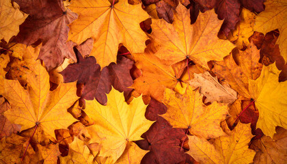 Fototapeta premium Autumn leaves in vibrant shades of orange and yellow create warm, inviting background. fallen leaves evoke sense of tranquility and beauty of nature seasonal change