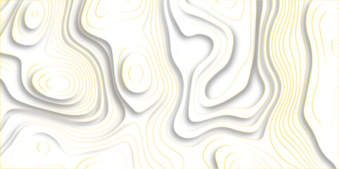 Abstract design with black and white abstract papercut and multi-layer cutout geometric pattern on vector Topographic canyon geometric map relief texture with curved layers beautiful design.	