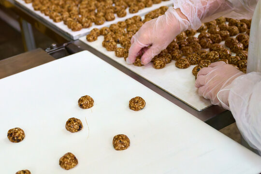 Hand-placed grillage on conveyor in food production facility during daytime operation