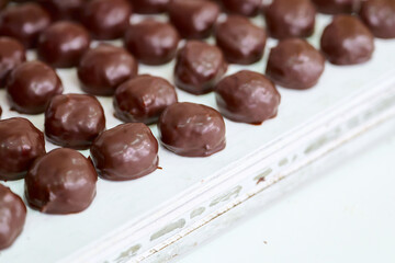 Chocolate-coated grillage arranged neatly on a tray in a bright confectionery kitchen setting