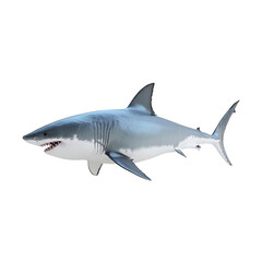 Naklejka premium A fierce great white shark, captured in stunning detail, ready to captivate. The shark's powerful physique and sharp teeth are on display.