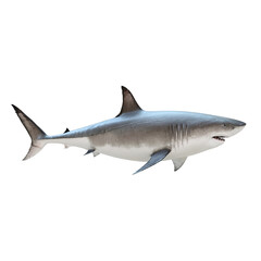 A detailed, realistic shark isolated on an empty background, showcasing its powerful physique