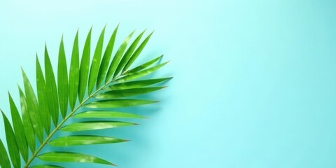 Obraz premium Vibrant Green Palm Frond Against a Light Blue Background, Perfect for Summer Designs and Tropical Themed Projects