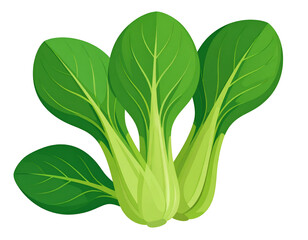 Three vibrant green Bok Choy leaves