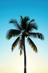 Silhouette of a tropical palm tree at sunset against a vibrant azure sky, a serene and idyllic summer scene capturing the essence of a tranquil paradise.