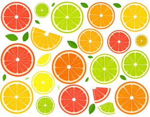 Colorful citrus fruit slices pattern