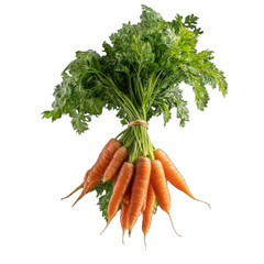 A bunch of fresh carrots tied together with green leaves isolated on a transparent background