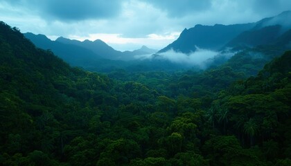 Fototapeta premium Lush valley shrouded in mist