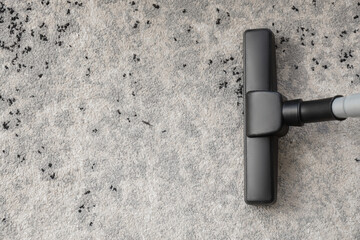 Modern vacuum cleaner on carpet, top view