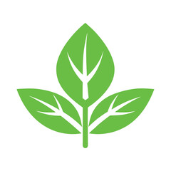 Leaf Symbol Vector Icon – Minimal Green Nature Design on White Background.eps