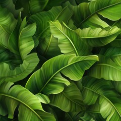 Fototapeta premium Dense Lush Banana Leaves Background Close Up Tropical Foliage Pattern Fresh Greenery Botanical Illustration Exotic Jungle Flora