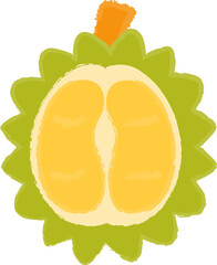 Durian Fruit in a Hand-Drawn Style