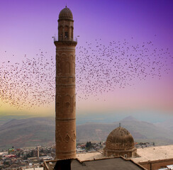 The minaret and mosque with birds flying in the evening sky. Mardin Mosque and Minaret.