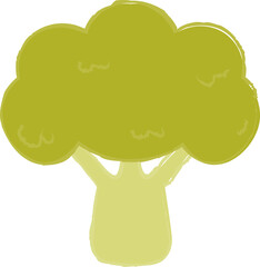 Fresh Green Broccoli 