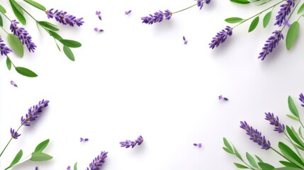 Lavender flower border on white background flat lay top view floral arrangement for product presentation invitation card design