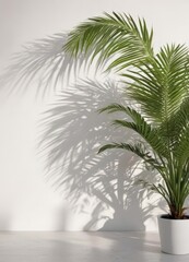 Fototapeta premium Crisp shadow of palm fronds on bright white wall Tropical, summer vibe , summer, greenery, stock photo