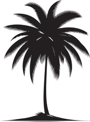 Obraz premium Palm tree Silhouette 