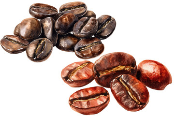 Obraz premium Assorted Roasted Coffee Beans Featuring Different Shades Of Brown with a transparent background