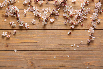 Beautiful blooming branches on wooden background