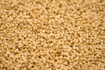 closeup amaranth seed grain whole food background texture