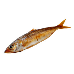 A close-up shot of a single, fresh fish with a golden hue