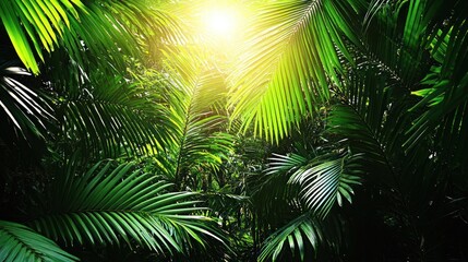 Obraz premium Lush palm leaves illuminated by bright sunlight.