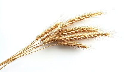 Golden wheat ears lying on a clean white surface evoke natural harvest bounty