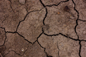 Close-up of dry, cracked earth surface, highlighting the texture and pattern of drought conditions.

