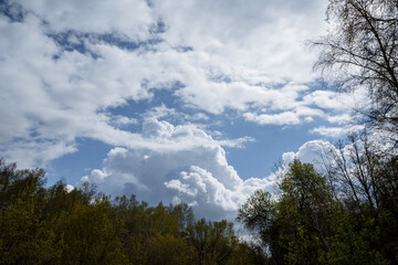 A breathtaking and beautiful cloudscape stretches majestically over a vibrant and lush green forest, creating an ethereal atmosphere that inspires relaxation and a sense of peace with nature