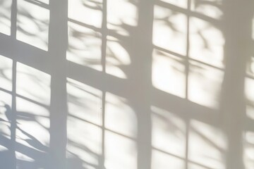 Soft Shadows on a Wall with Windows