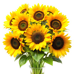 Arranged Sunflower Bouquet Digital Art, Print Design High-Resolution Transparent PNG.