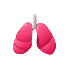 Healthy Human Lungs Flat Illustration for Medical Use