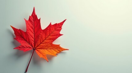 Fototapeta premium A single vibrant autumn leaf, showcasing rich red and orange hues, rests against a pale background, creating a simple yet elegant natural image.