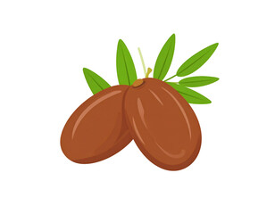 Two brown, oval-shaped fruits with leaves